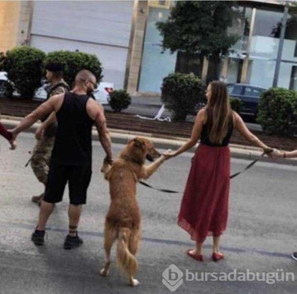 Günün en çok paylaşlan fotoğrafları