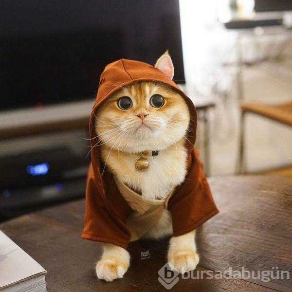 Günün en çok paylaşlan fotoğrafları
