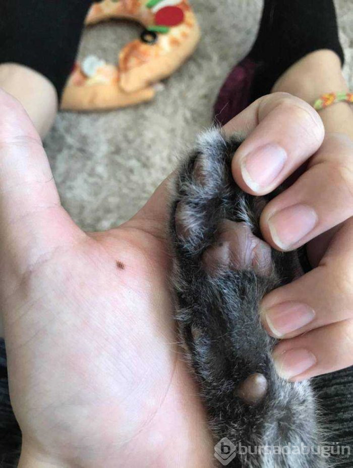 Günün en çok paylaşlan fotoğrafları