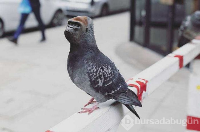 Günün en çok paylaşlan fotoğrafları