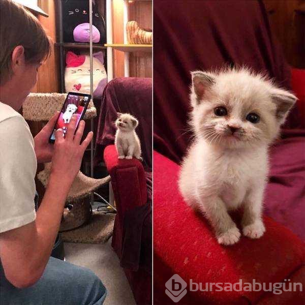 Günün en çok paylaşlan fotoğrafları
