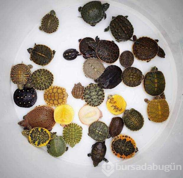 Günün en çok paylaşlan fotoğrafları