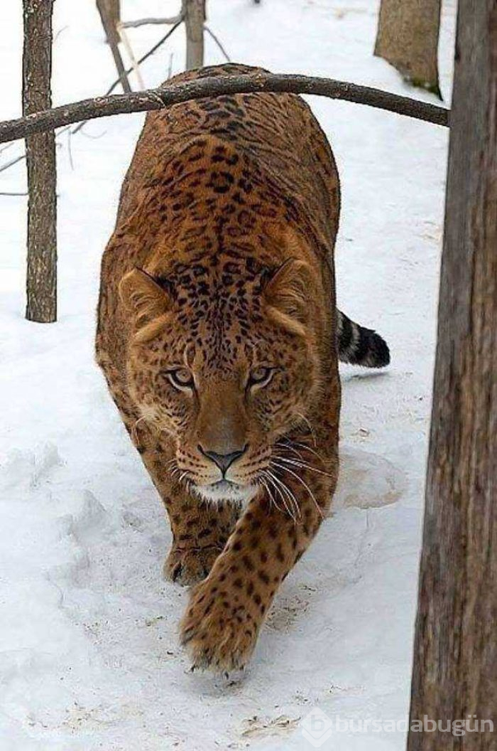 Günün en çok paylaşlan fotoğrafları