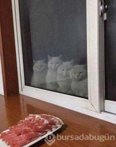 Günün en çok paylaşlan fotoğrafları
