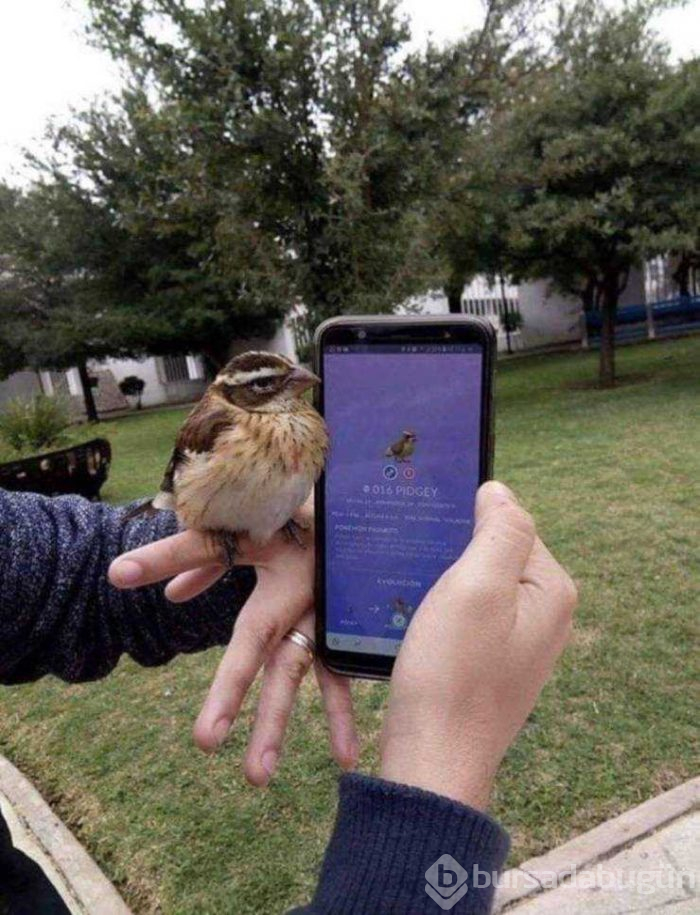 Günün en çok paylaşlan fotoğrafları