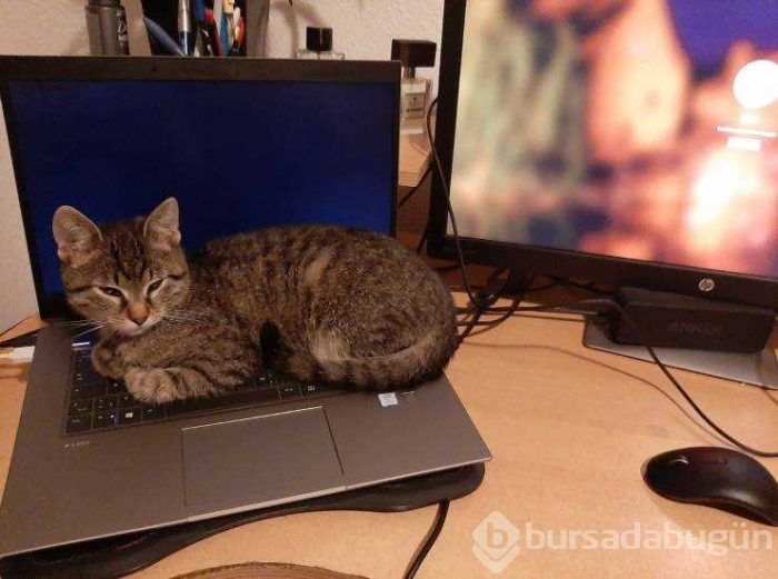 Günün en çok paylaşlan fotoğrafları