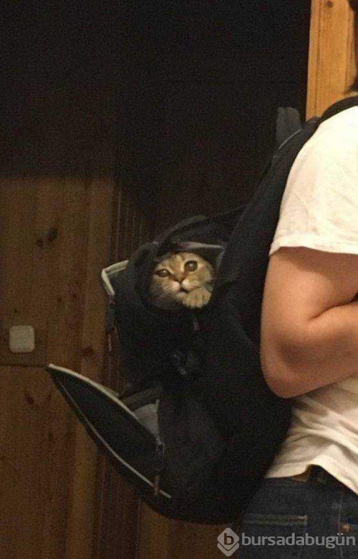 Günün en çok paylaşılan fotoğrafları