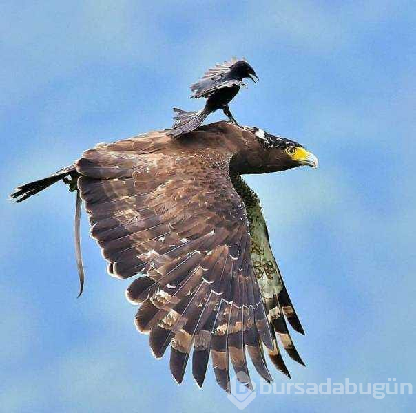 Günün en çok paylaşılan fotoğrafları