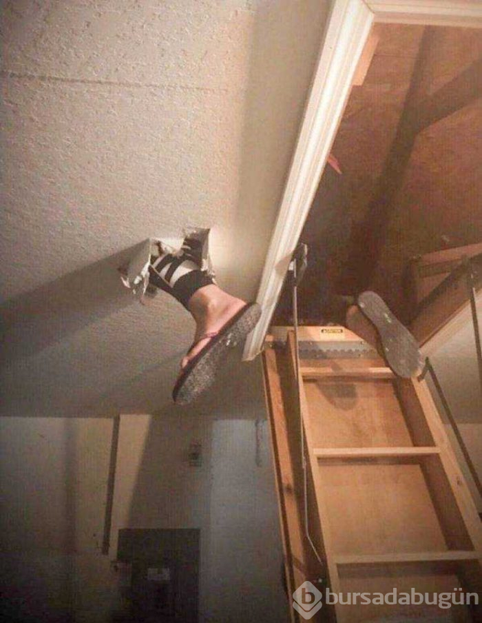 Günün en çok paylaşılan fotoğrafları