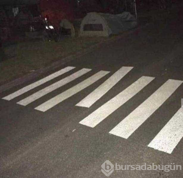 Günün en çok paylaşılan fotoğrafları