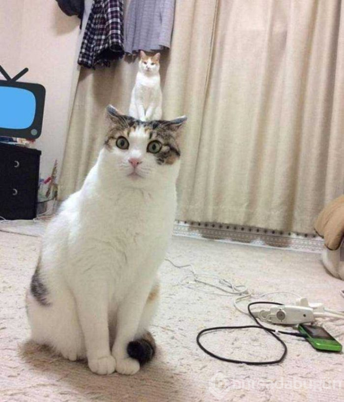 Günün en çok paylaşılan fotoğrafları