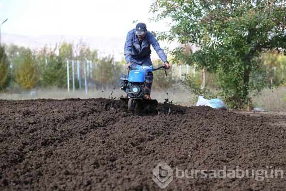 Solucanlar kozmetikte kullanılacak!
