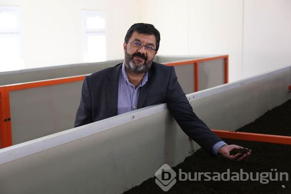 Solucanlar kozmetikte kullanılacak!
