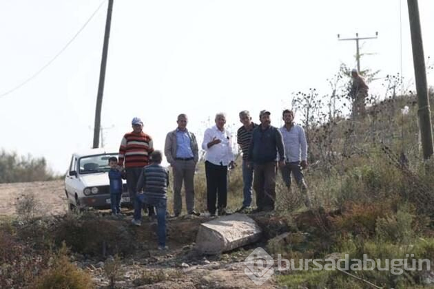 Bursa'da binlercesi ölü bulundu! Halk tedirgin...