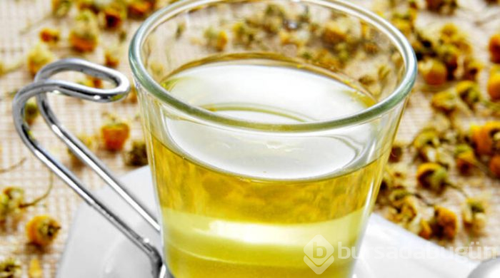 Ne zaman, hangi bitki çayı içilmez?
