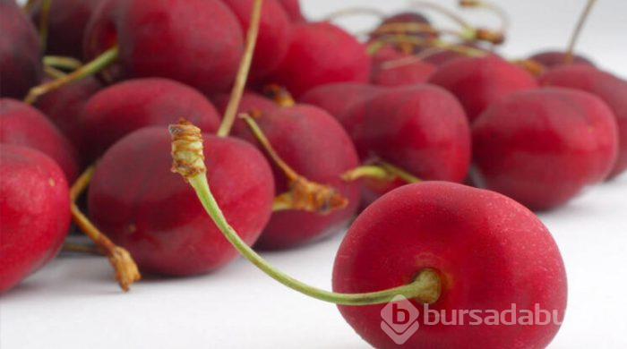 Ne zaman, hangi bitki çayı içilmez?
