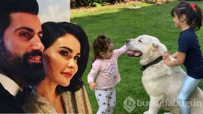 Volkan Demirel köpeğini kaybetti!