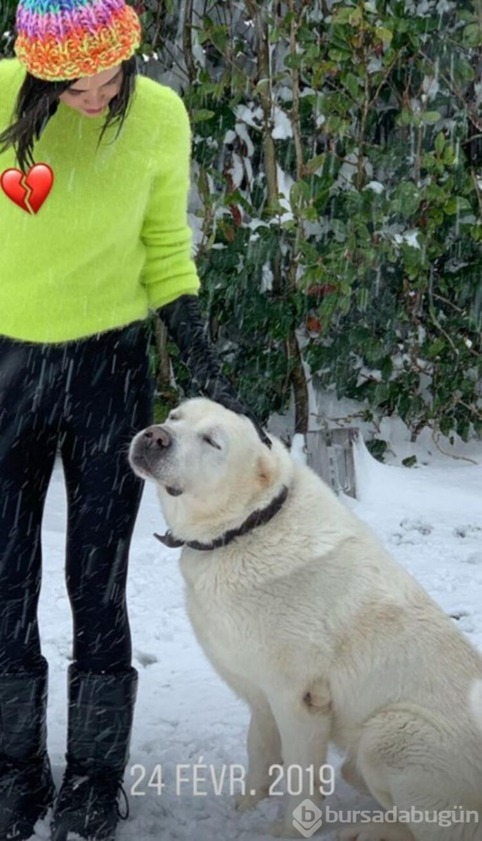 Volkan Demirel köpeğini kaybetti!