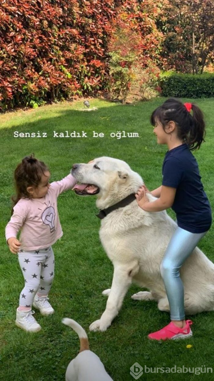 Volkan Demirel köpeğini kaybetti!