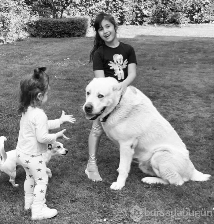 Volkan Demirel köpeğini kaybetti!