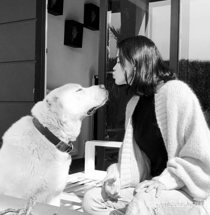 Volkan Demirel köpeğini kaybetti!