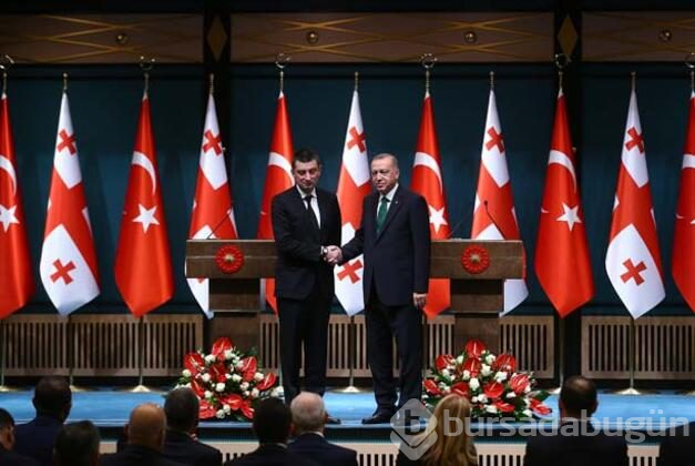 Cumhurbaşkanı Erdoğan: "Türkiye-Gürcistan stratejik iş birliği konseyi toplanacak"