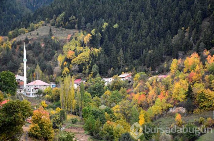 Tarihi İpek Yolu'nda sonbahar güzelliği!