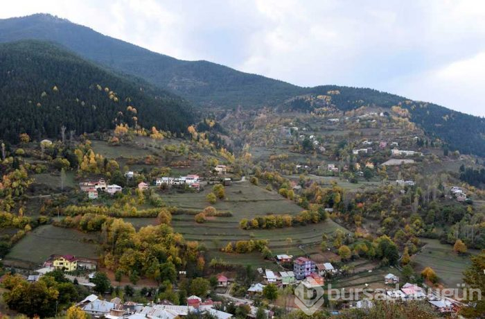 Tarihi İpek Yolu'nda sonbahar güzelliği!