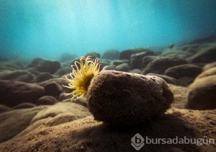 Keşif tutkunları için Olympos kenti