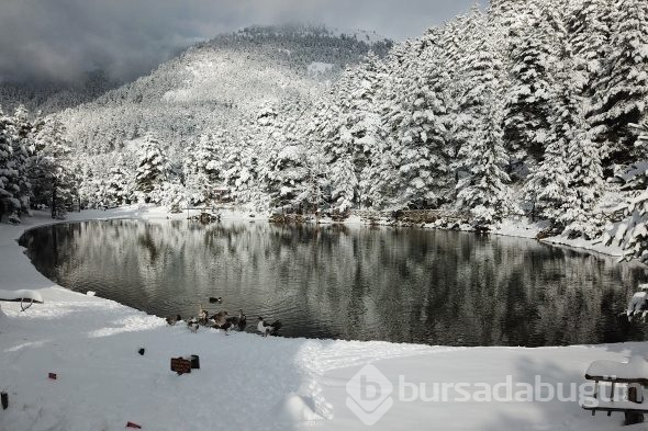 Huzur veren mekan: Limni Gölü Tabiat Parkı