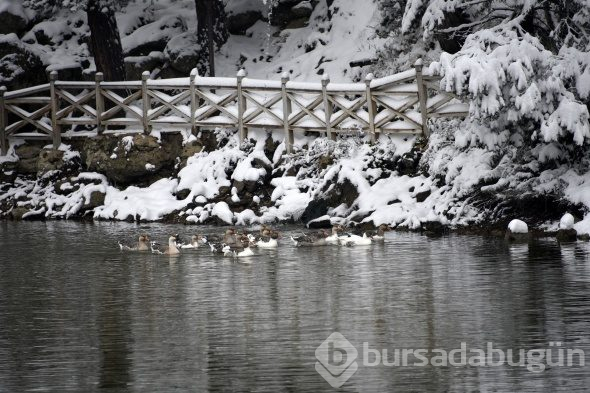 Huzur veren mekan: Limni Gölü Tabiat Parkı