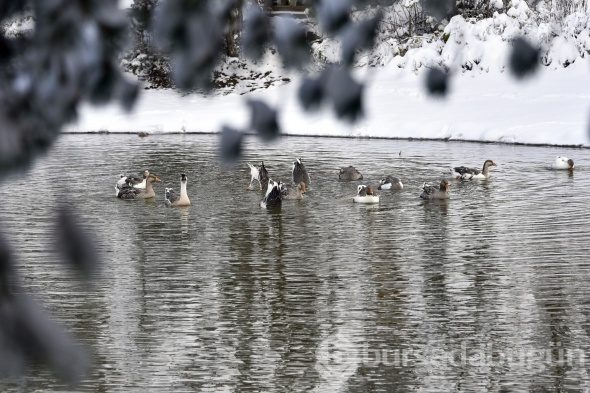 Huzur veren mekan: Limni Gölü Tabiat Parkı