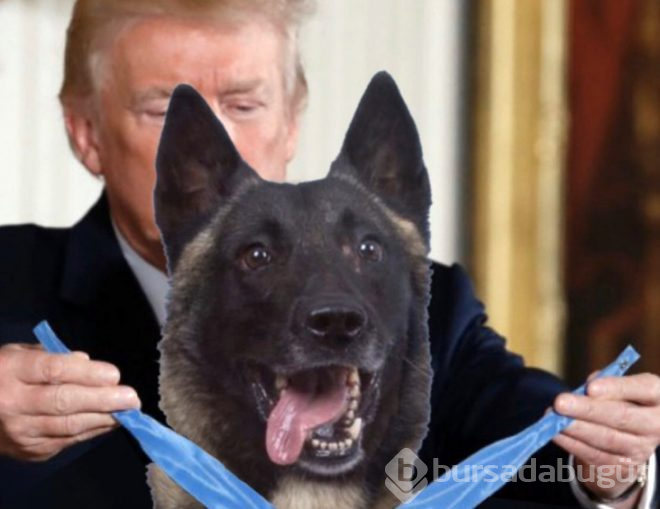 Trump paylaştı, fiyatı bir anda arttı!