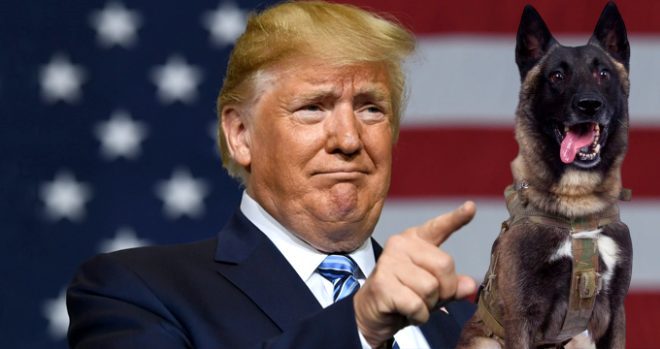 Trump paylaştı, fiyatı bir anda arttı!