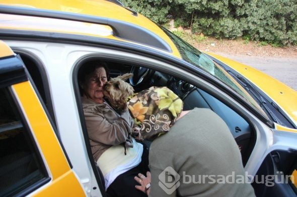 Fatma Girik, hasret gözyaşları döktü