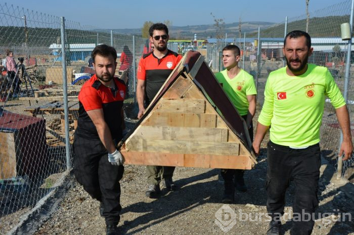 Bursa'da yüzlercesi sokağa terk edildi	