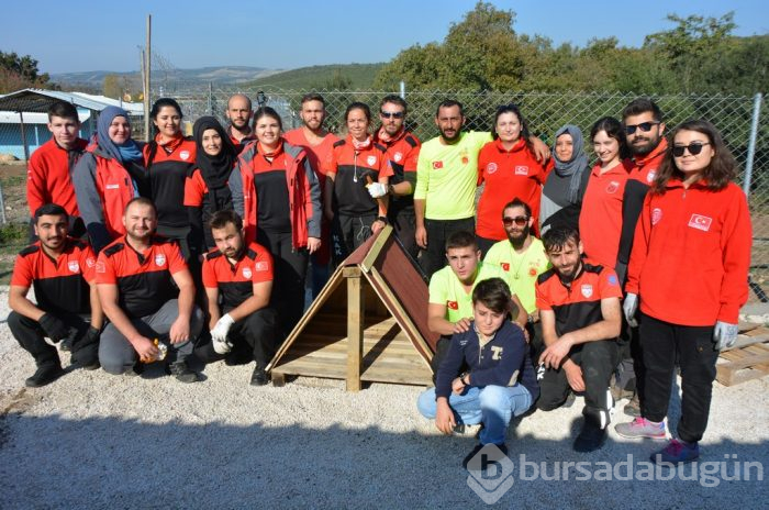 Bursa'da yüzlercesi sokağa terk edildi	