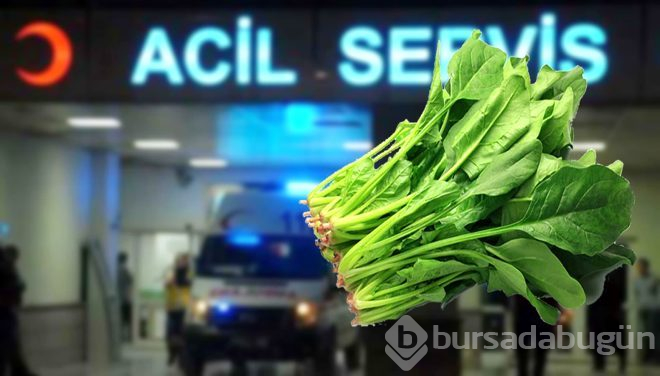 Ispanak yerken dikkat!