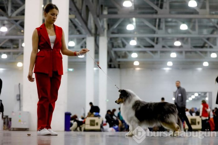 Köpek fuarına 34 ülkeden 9 bini aşkın köpek katıldı