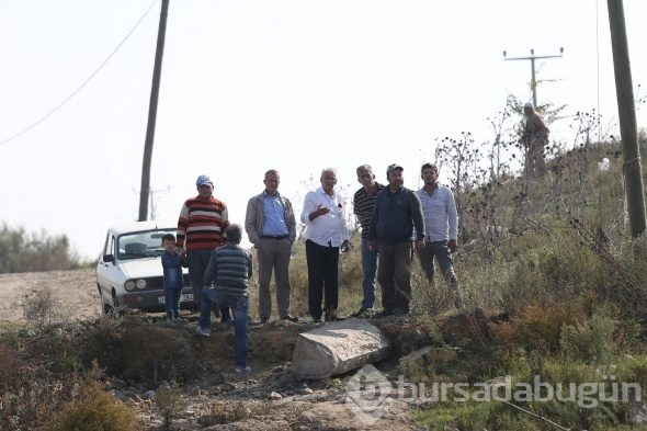Bursa'da çevre felaketi