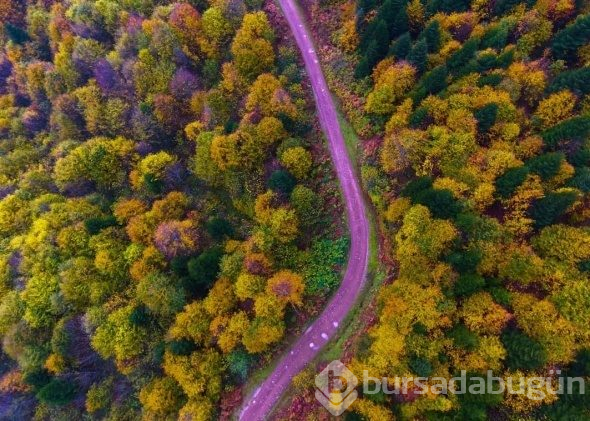 Ordu sarının tonlarına teslim oldu
