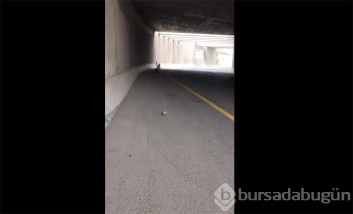 Skandal görüntüler sızdı!