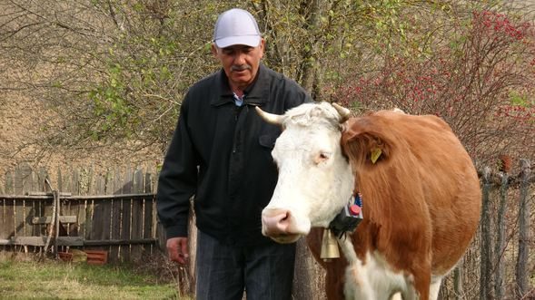 Tekno çoban görenleri şaşırtıyor