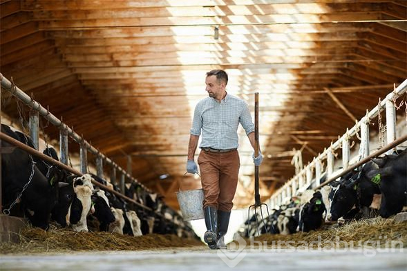 Vegan olmak isteyenler buraya!