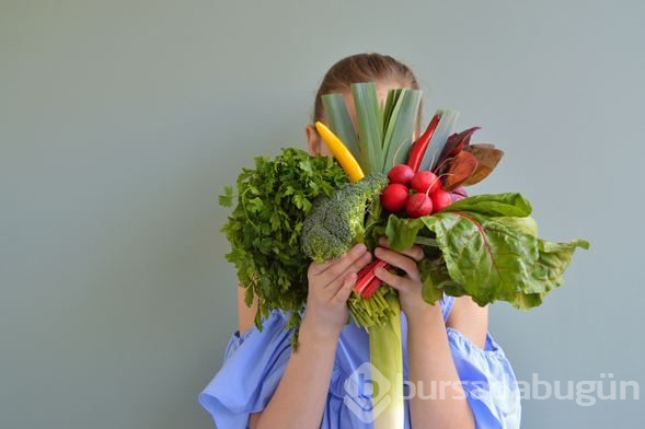 Vegan olmak isteyenler buraya!