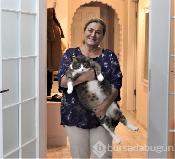 Kediyi görenler aslan yavrusu sanıyor!