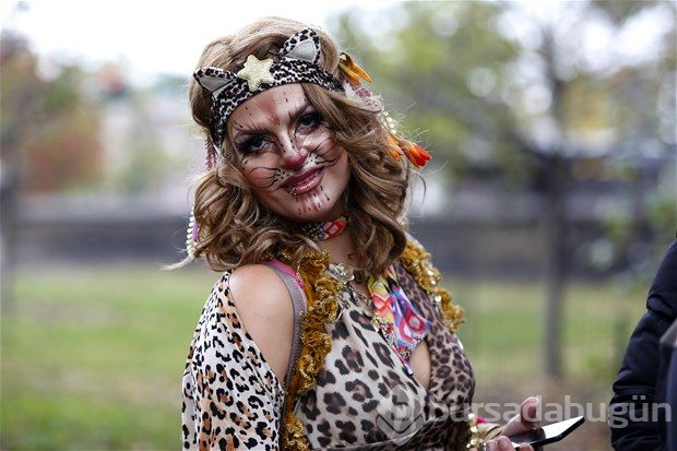 Central Park'ta bal kabaklarından ilginç şekiller