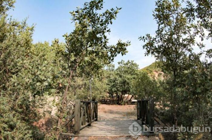 Doğa turizmi göz dolduruyor