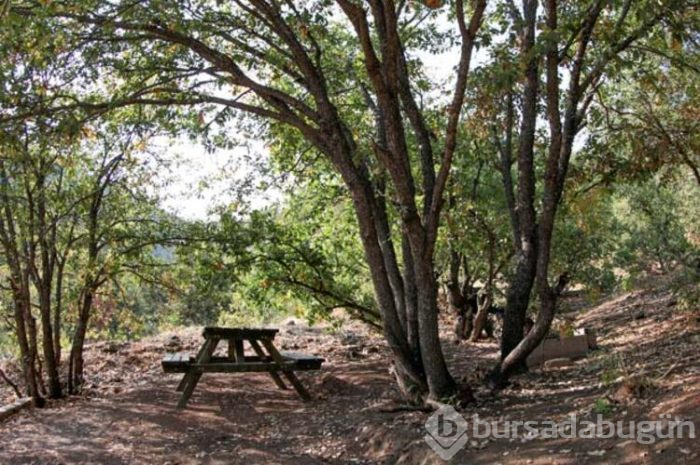 Doğa turizmi göz dolduruyor