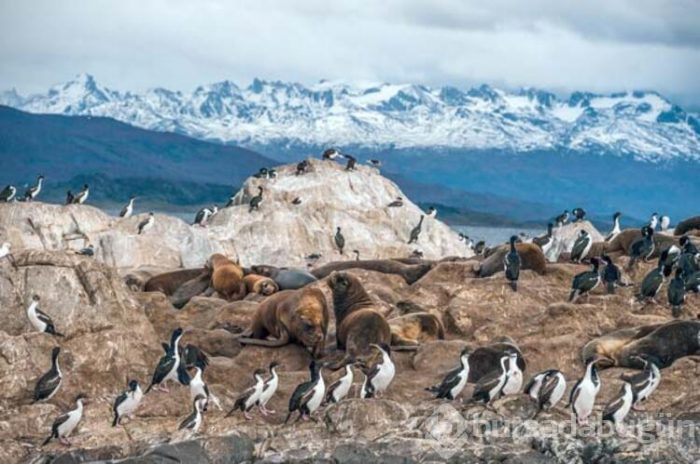 Dünyanın en güneyi Ushuaia